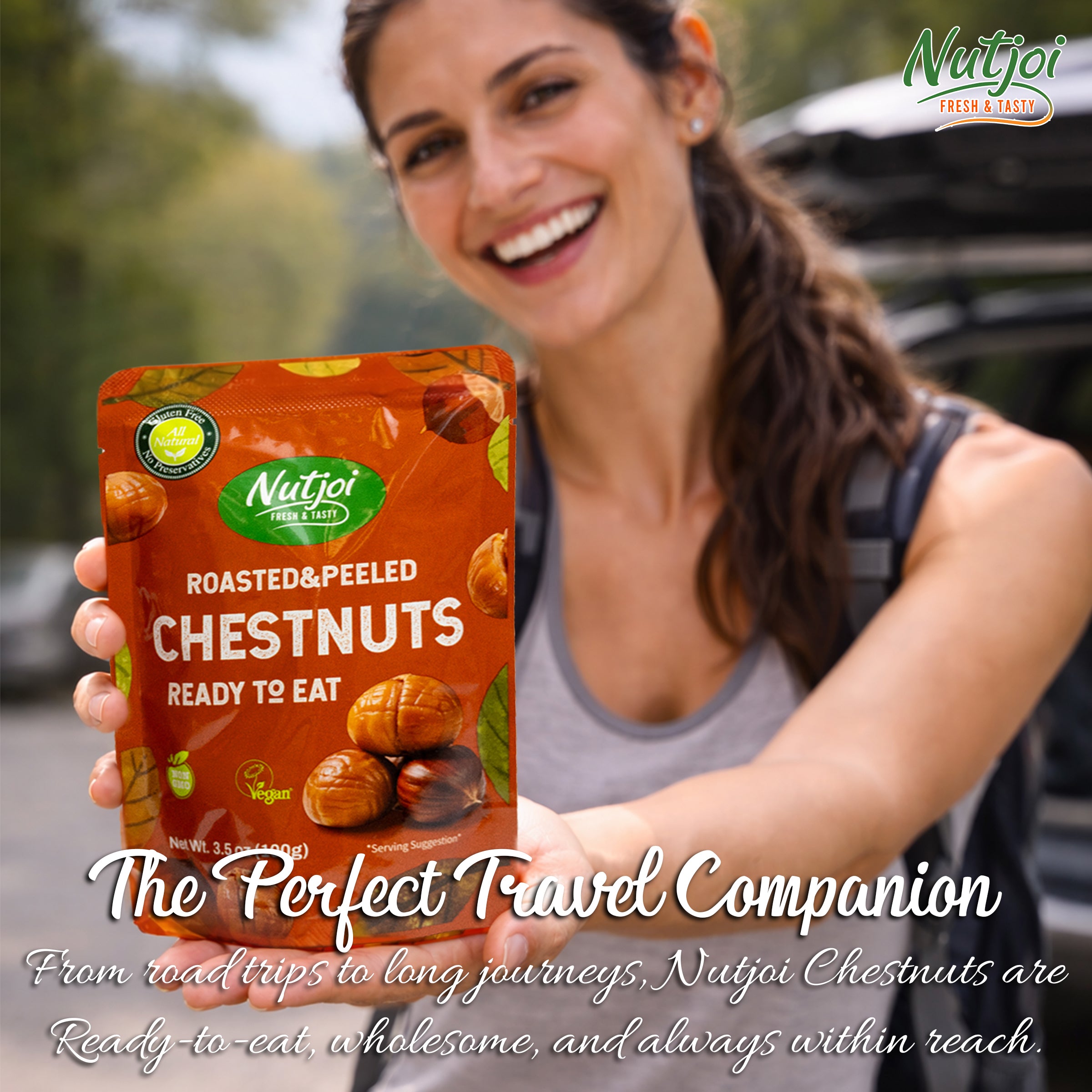Nutjoi Chestnut Snack (3.5 oz x 6 pack / 600g)